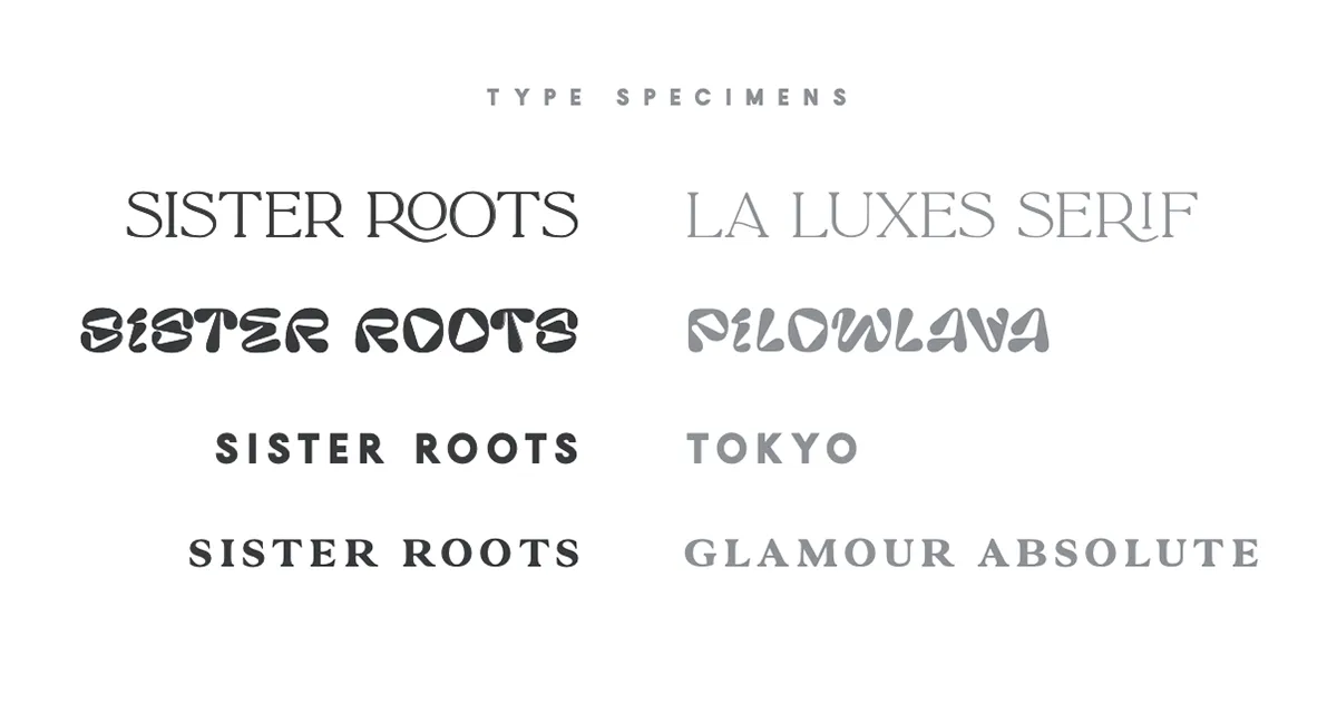 Sister Roots Identity System — image 9.5