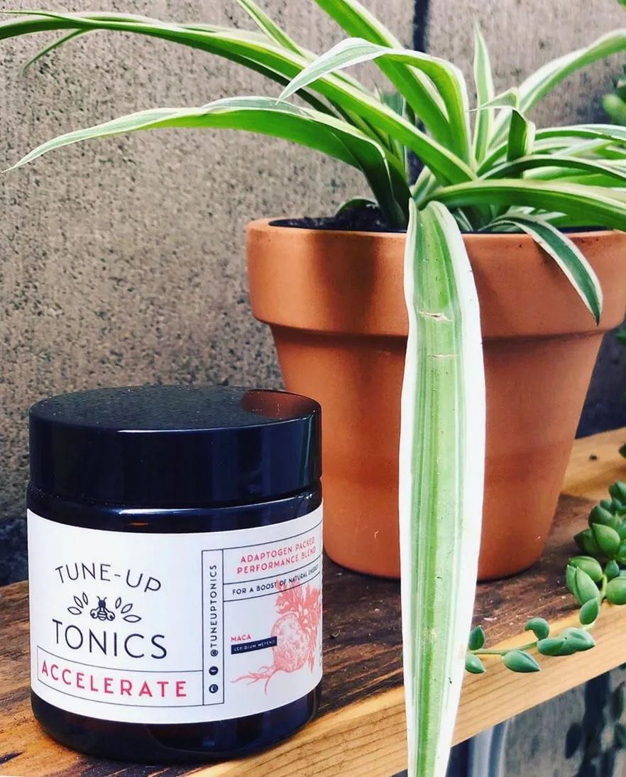 Tune-Up Tonics — image 10.3