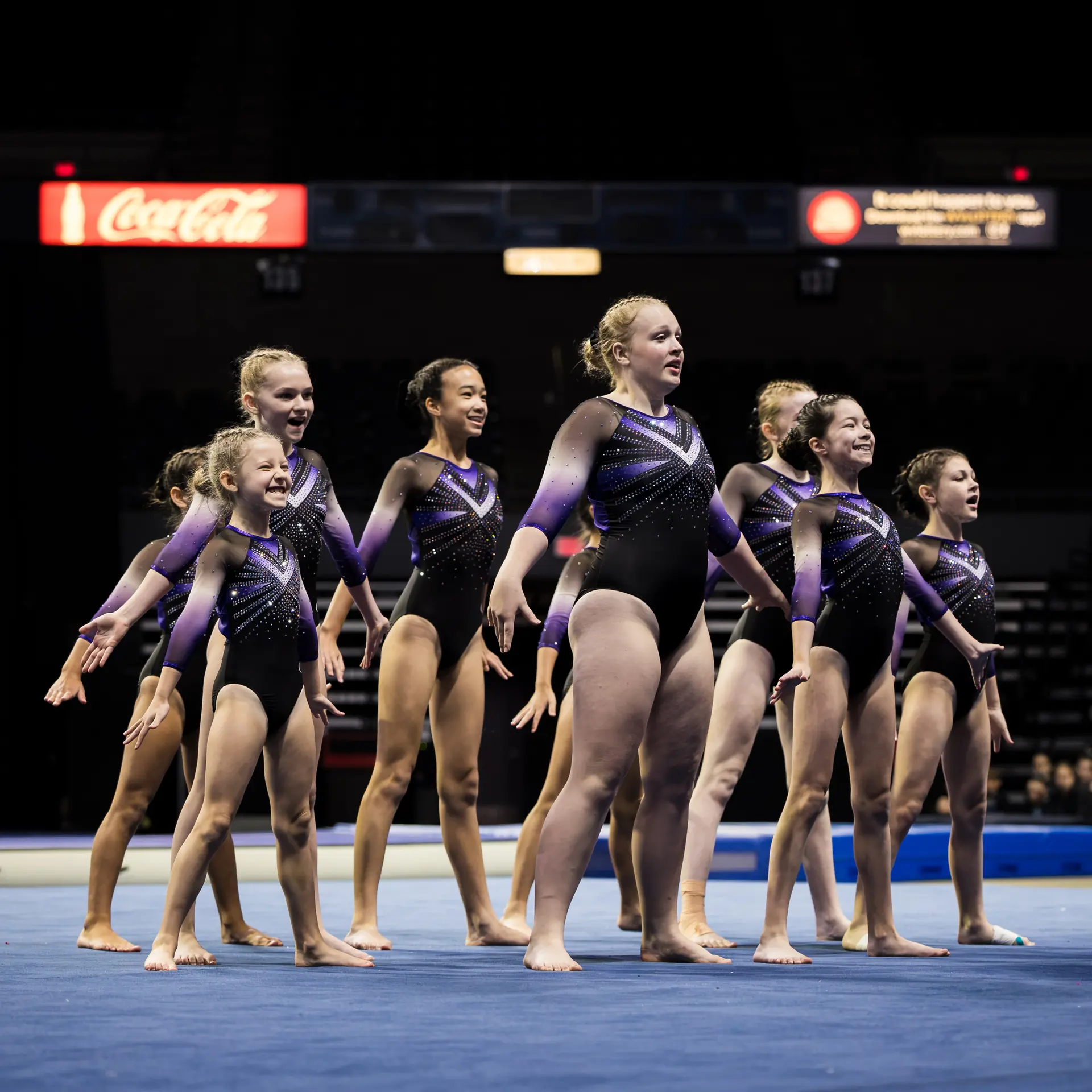 A team lined up on the floor, arms raised
